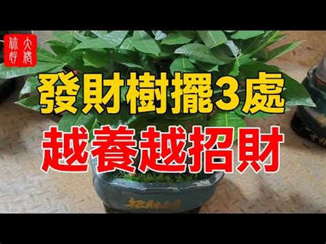 招財方法|【財富指南】招財秘笈大公開！10 招提升財運的方法